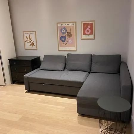 As Apartament Szpital Kopernika Szpital Matki Polki Ptak Mandoria Orientarium Atlas Arena Fala Plac Zabaw- Ciasna 14 Bezplatny Parking Lodz  Exterior photo