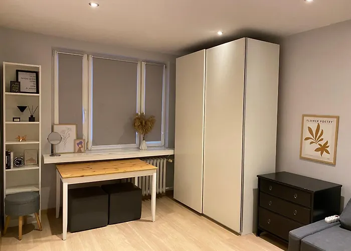 As Apartament Szpital Kopernika Szpital Matki Polki Ptak Mandoria Orientarium Atlas Arena Fala Plac Zabaw- Ciasna 14 Bezplatny Parking